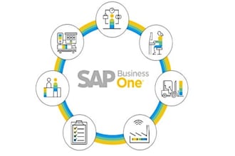 provide solutions and training regarding sap business one