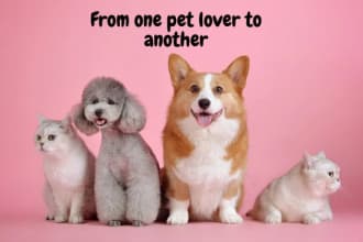 write a top quality blog on pets including cats and dogs