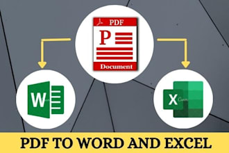 do file conversion, pdf to word and excel in 12 hours