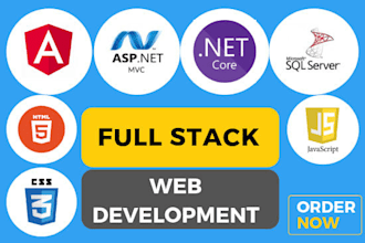 be your angular and ruby, asp net core web API developer