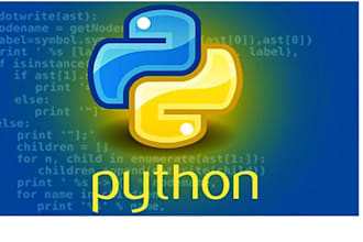 teach students programming languages