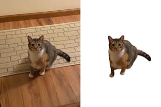 remove your photo image background