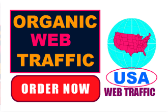 grow USA web traffic organically