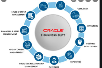 provide oracle ebs technical and functional  consultancy
