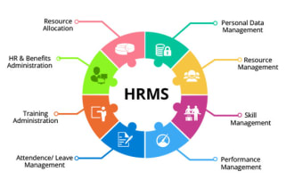 prepare and manage a payroll