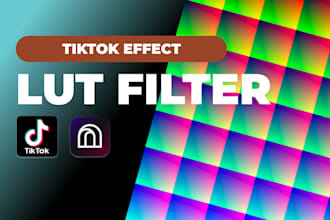 create your own lut filter for tiktok