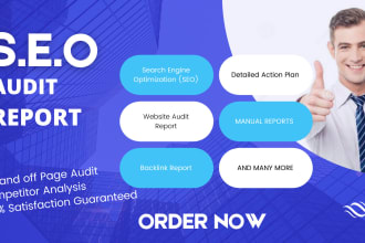 provide a professional seo audit report, and  compititor analysis