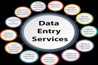 fastest data entry in one day and research