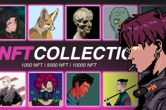 create a cartoon, pixel art and generate collection nft up to 10k