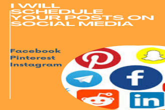 schedule your social media post