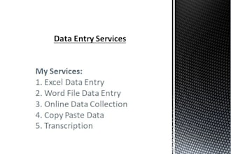 perfect data entry and delivery within the time frame