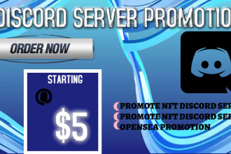 promote nft discord server to gain targeted users
