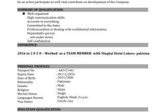 design a professional creative resume cv,