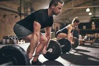 best gym online workout