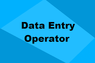 iam a data entry operator with good speed and accuracy