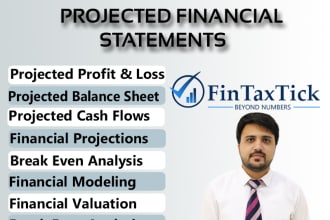 build budgets and financial model and business plan