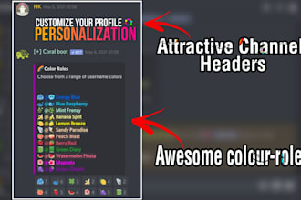 design you a professional discord server