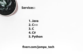 write professional java, python and cpp code