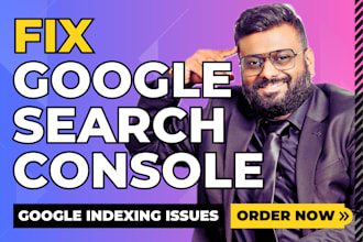 audit website index google search console technical SEO expert schema markup