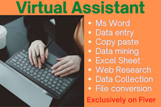 be virtual assistant for data entry web search and many more