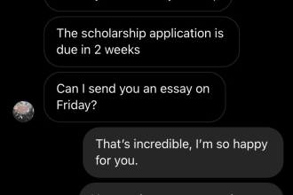 proofread and edit college application letters