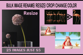 crop resize rename remove the background of bulk images