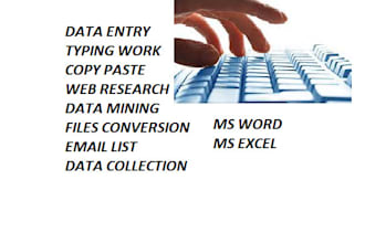provide data entry services