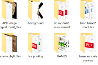 transcribe your notes into ms or PDF file