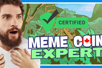 provide expert crypto advisor meme coin token launch support