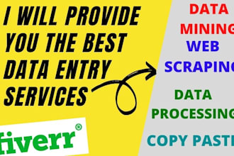 do excellent data entry, data mining, web scrapping