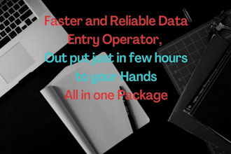 do fast data entry in few hours