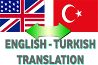 english text to turkish text