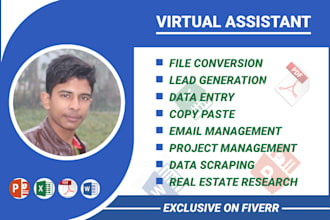be your administrative personal virtual assistant
