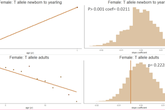 do advanced stats, data manipulation and visualisation