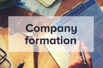 do company formation in the USA