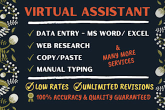 be your virtual assistant for data entry, personal and admin support