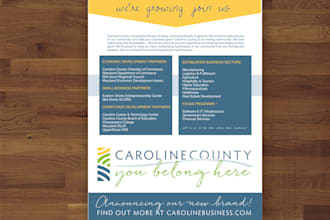 design a single page flyer for your business