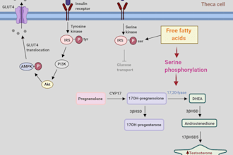 Best Price!  make your figures with innovative designs on biorender