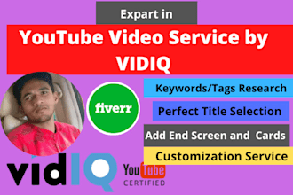 do your yuotube video seo by vidiq