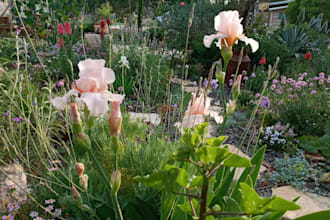 plan and desingn your garden