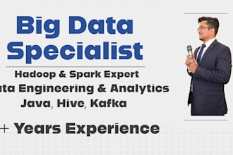 provide expert big data solutions apache spark hadoop kafka mapreduce pig