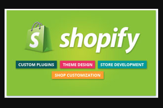 build shopify website with manage SEO ranking