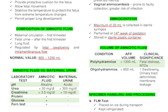 convert PDF to word and jpg to word