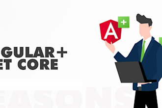 do web application and web site in dotnet and angular