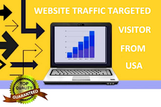 usa keyword targeted organic website traffic