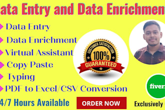 do perfect data entry, data enrichment, copy paste, typing, virtual assistant