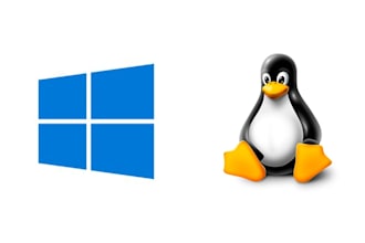 install and configure your linux or windows server to meet your needs