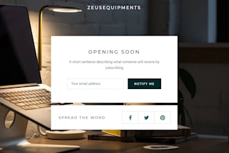 create an online store website for you