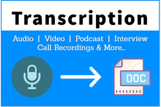 provide high quality transcripts of your vids