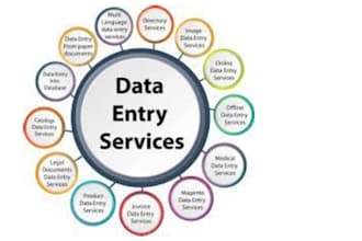 do data entry, web research and data cleaning